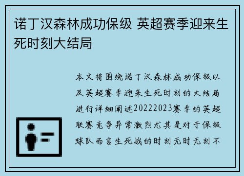 诺丁汉森林成功保级 英超赛季迎来生死时刻大结局