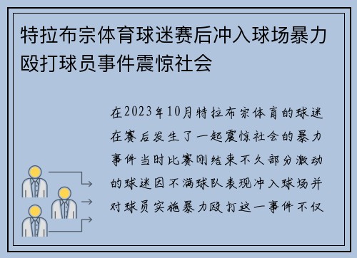 特拉布宗体育球迷赛后冲入球场暴力殴打球员事件震惊社会